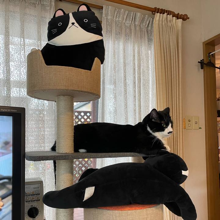 B015f280 4eb8 42cb 8d08 6e993e1df4f1 1650516024085