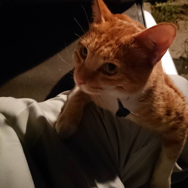 B015ff58 beb3 431b b4e3 30fa39eb2505 1567677491624