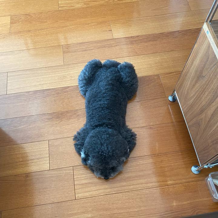 B016288d ff35 4ece 9fb1 43eb61bba153 1633746440500