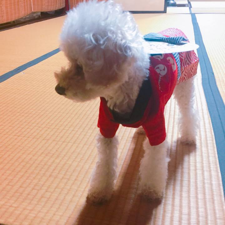 B0163ca0 3223 4146 9953 c56e9965c985 1533394479929