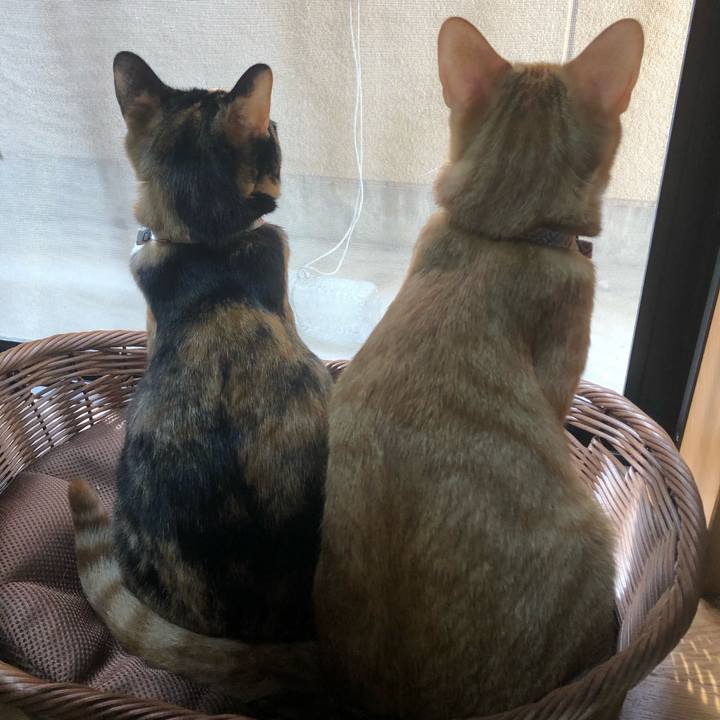 B01654a7 a09e 4c9e 9cc5 e1b0e7240e24 1573958965309