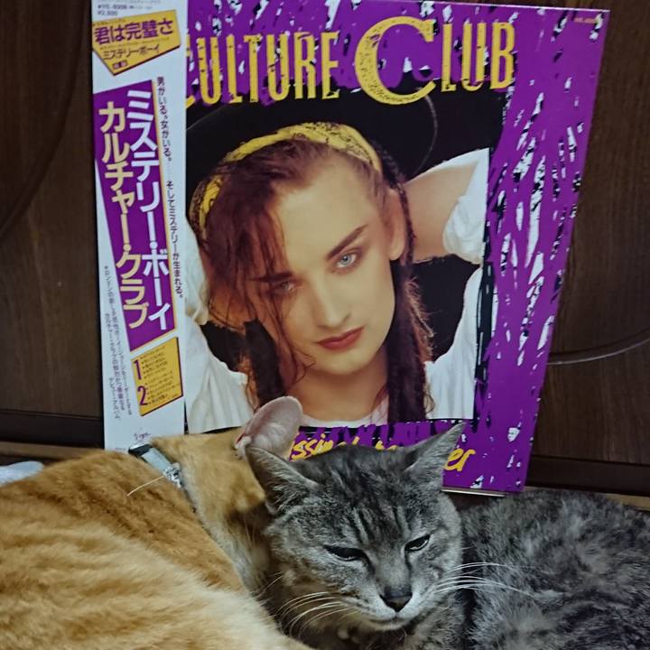 B016551c af46 4c4d ba7f 40bbca0217e2 1588248899381