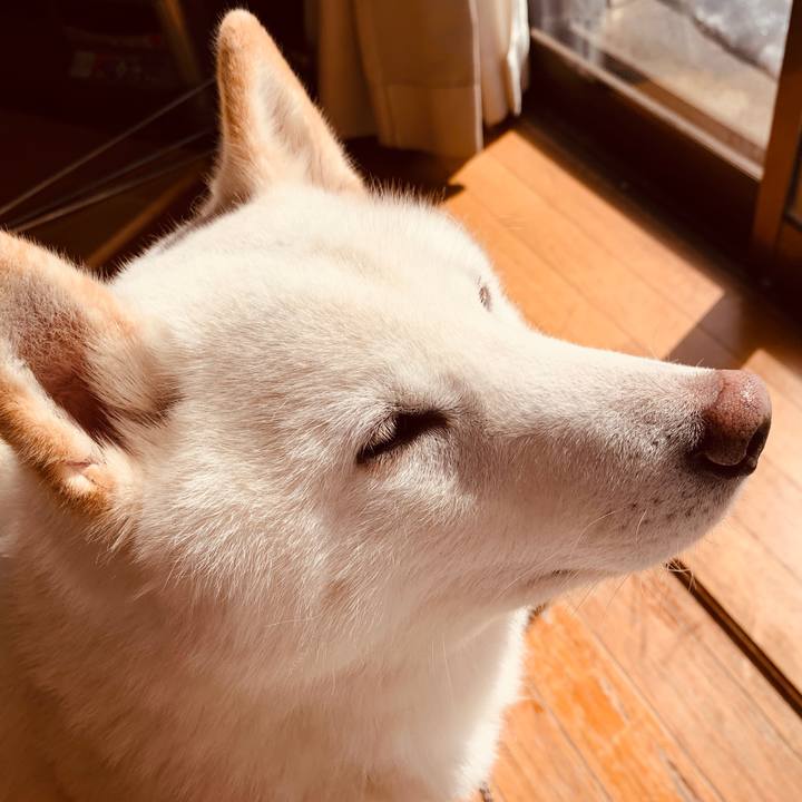 B0166dc2 ab7b 46ed b2b7 aeb4b95543d3 1584499255275