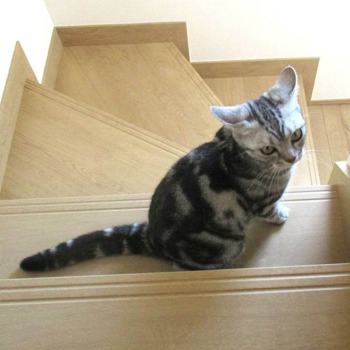 B0168fab 44a9 47fe baa6 88e98624769b 1556528164383