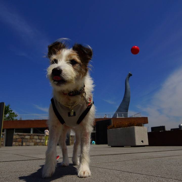 B016a1b3 e9a8 45f2 9c1f bbce67eeab97 1527914640409