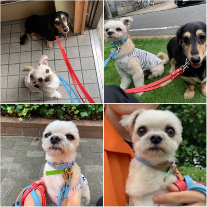 B016a7da 3c9b 46f3 94ae 496c40cfba2f 1562666522325