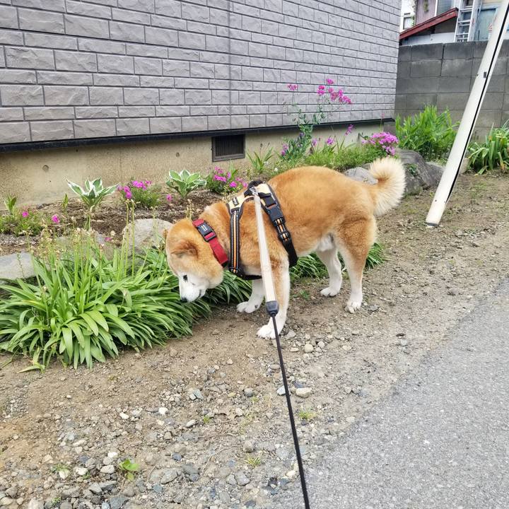 B016b4a9 208f 420f 8280 69be2b1adeb2 1748655355674