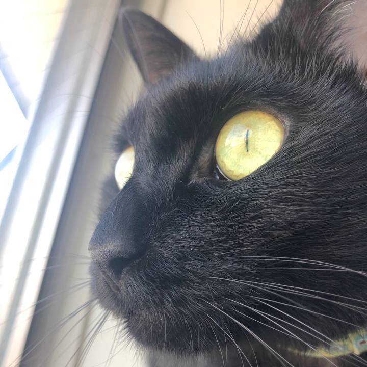 B016eb68 9d2c 468e 99b1 2335ec7c7269 1538181832096