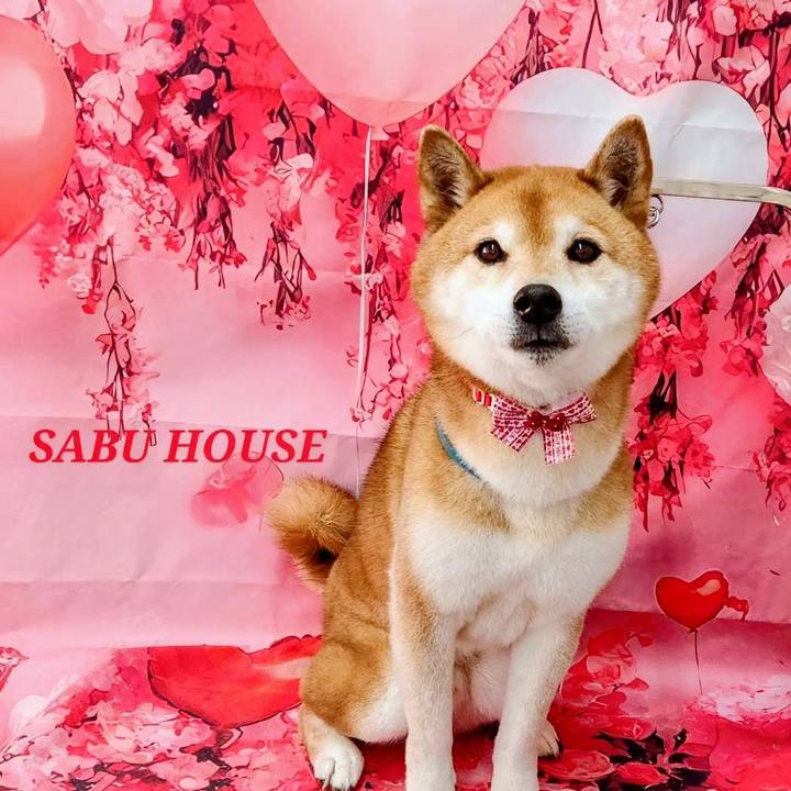 B01718f6 8212 4172 80c5 d49a40bea0a9 1770693746455