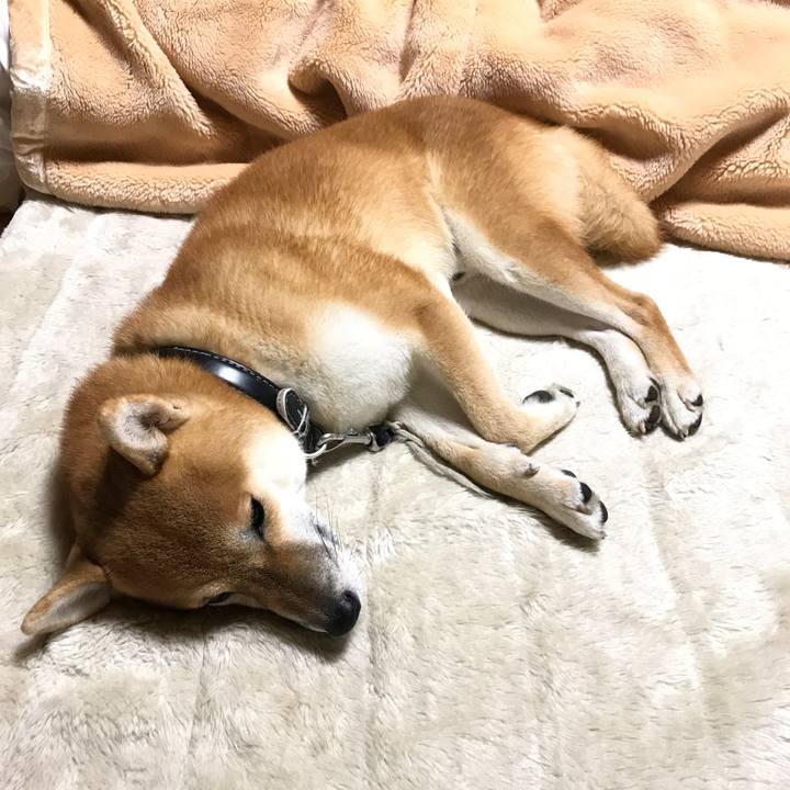 B0172db7 1e7c 4a6e 86df 24a55a511019 1542427570278