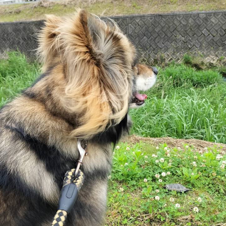 B0177826 7e03 4199 bbb2 f571c5af4284 1685626787133