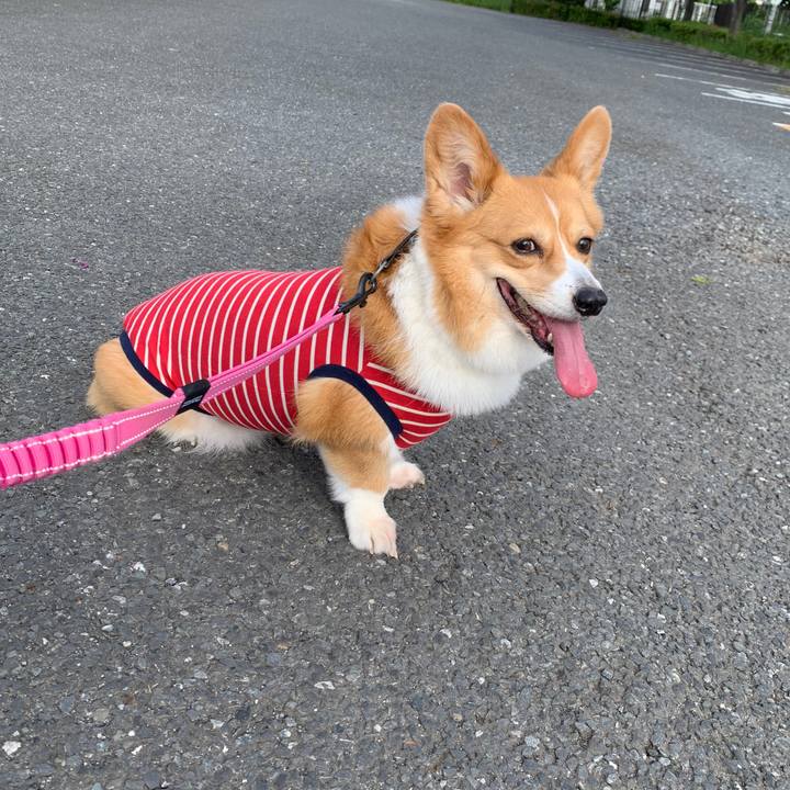 B0177ac1 fa16 4a37 a301 0b9c497a68fb 1590360767303