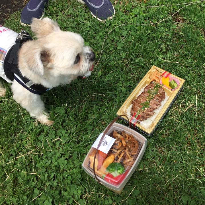 B0178b35 b236 40a0 99fb c1eac6dd72f7 1530255601925