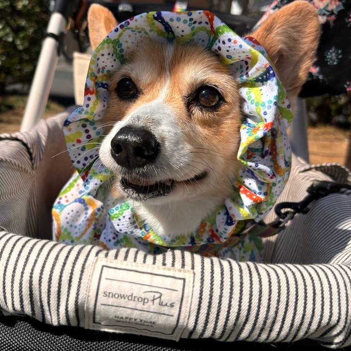 B017a307 b21c 411e 8ac5 3a9a791a225e 1772592211057