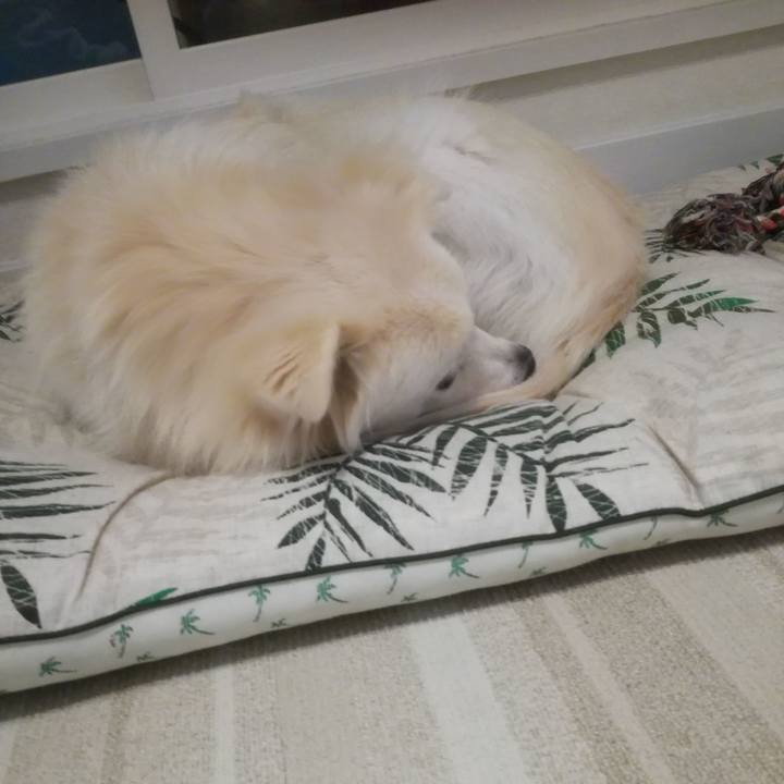 B017cec2 5b95 485c af0d d557b81c3c5d 1508931603858