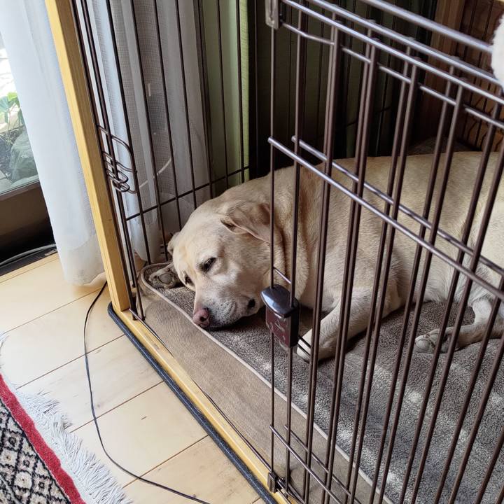 B017e94d 2aaf 4519 a374 98de87f88bc3 1666500303768