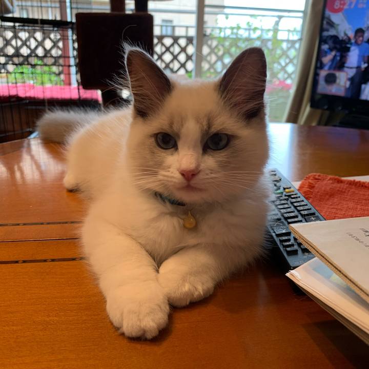 B01826ac e068 43eb b515 cfab748484d5 1629843208113