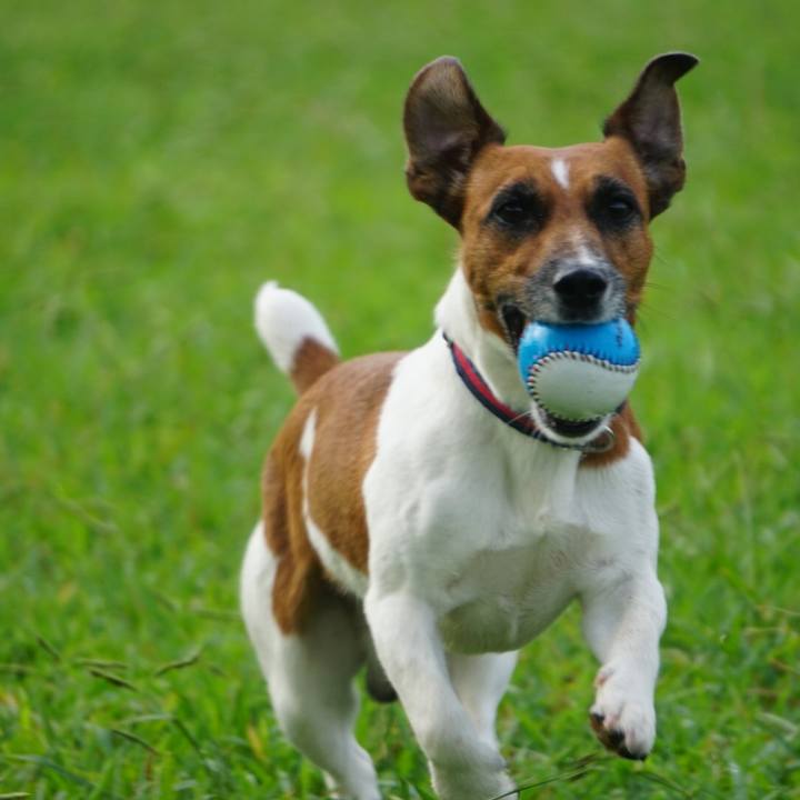 B0182dc8 35dc 4ec6 a78d ba9bd2039f2b 1535756237217