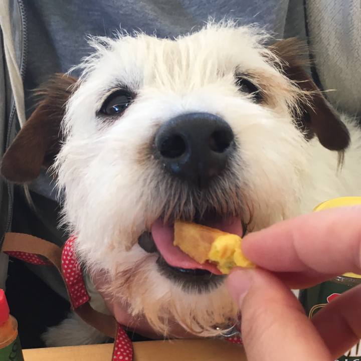 B0183072 4aa7 4e22 93da 67f14af0159b 1531252241391