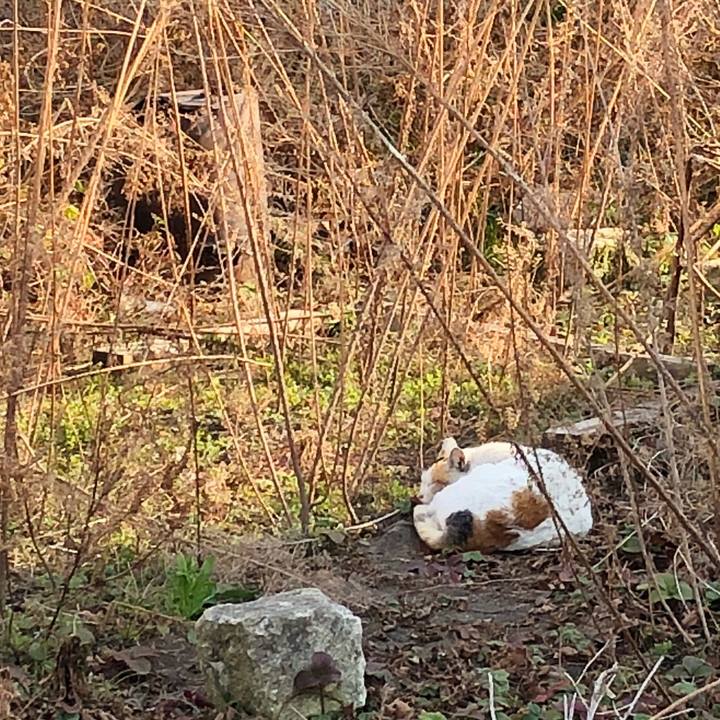 B018a486 0577 4d76 8acc 693a043bac55 1519718485147