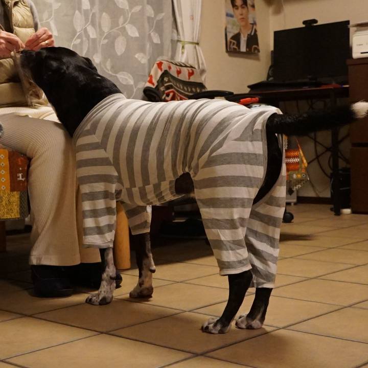 B018b9ae cf1d 48a5 8356 b9b389f3e7c4 1768050548861