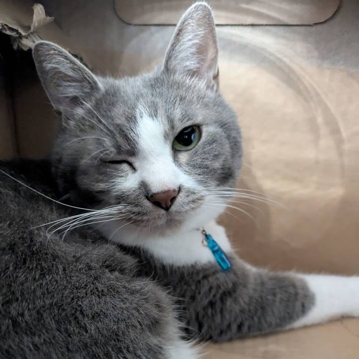 B018ca50 5489 41ab b977 30747c158073 1758866723681