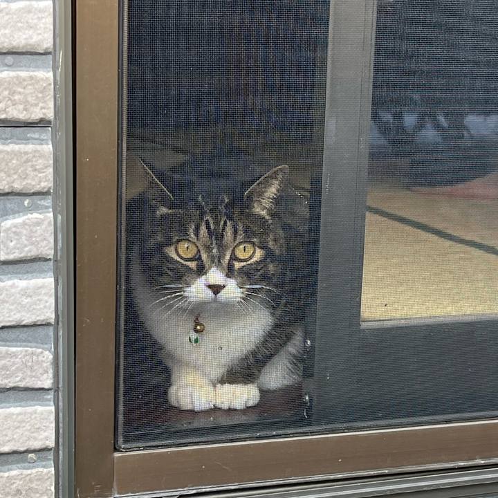 B0191918 5c38 4ec7 9ece 8c6b79099a50 1774658881752