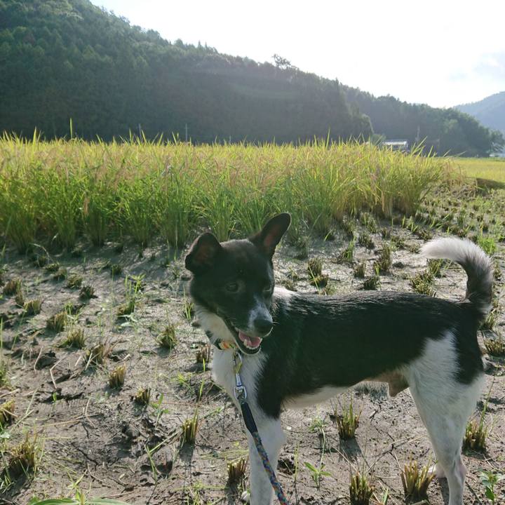 B0192ae7 b6e4 4723 879d 9eac1bb0ed07 1567468052467