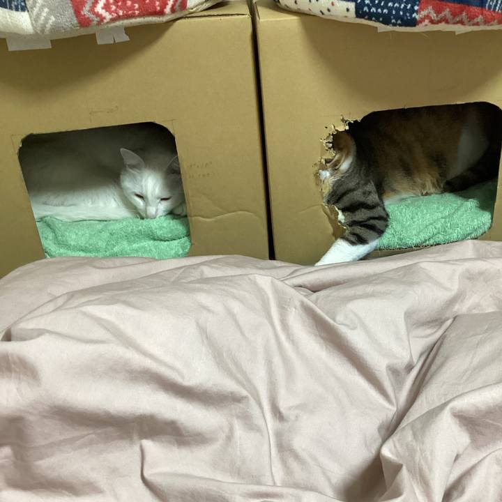 B01931aa c13c 4d3d b10a 20ddb94c81d1 1680027815632