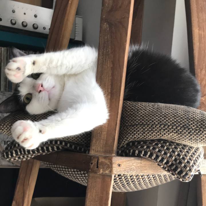 B0194ab0 b139 43aa 9088 ec1653c1f2c8 1600399096233