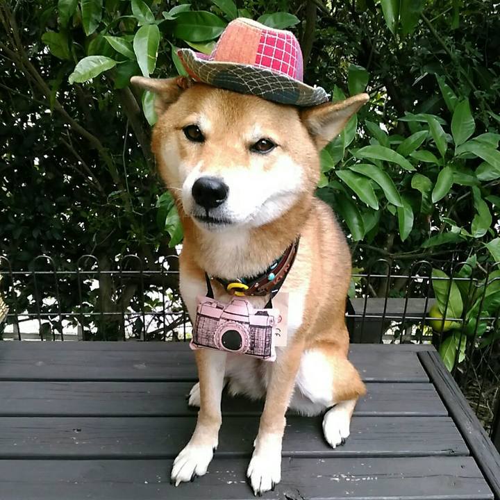 B019916b 12ba 4fb4 975f d34265fd392e 1540525736389