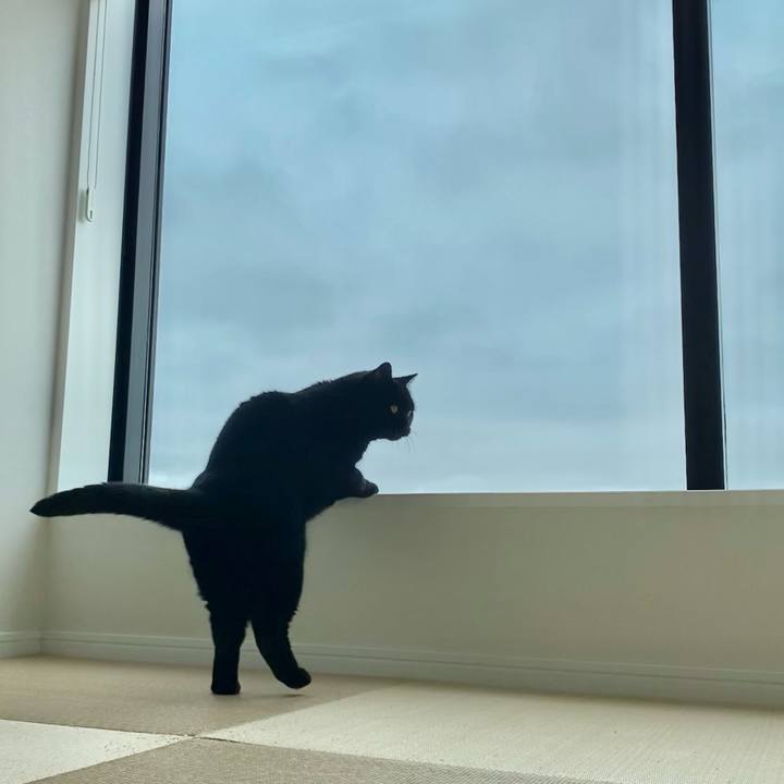 B01a24ae a09b 43e0 863b 32fa1f4c905a 1654764750553