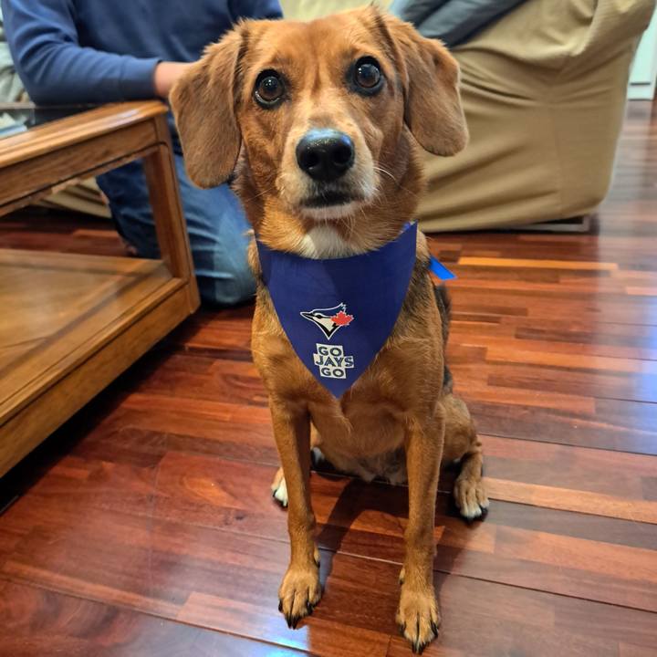 B01a3ac7 4c8d 4508 96c2 3f5d2aebb868 1762036304327