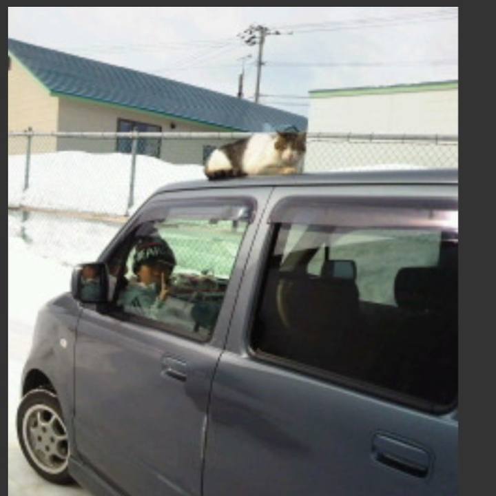 B01a4dc0 97f9 4ad7 a9d0 00bf15a6571d 1550319299816