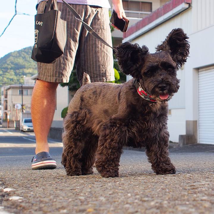 B01a52b2 1d48 46c4 8801 6c2daa26fe8e 1534029486551