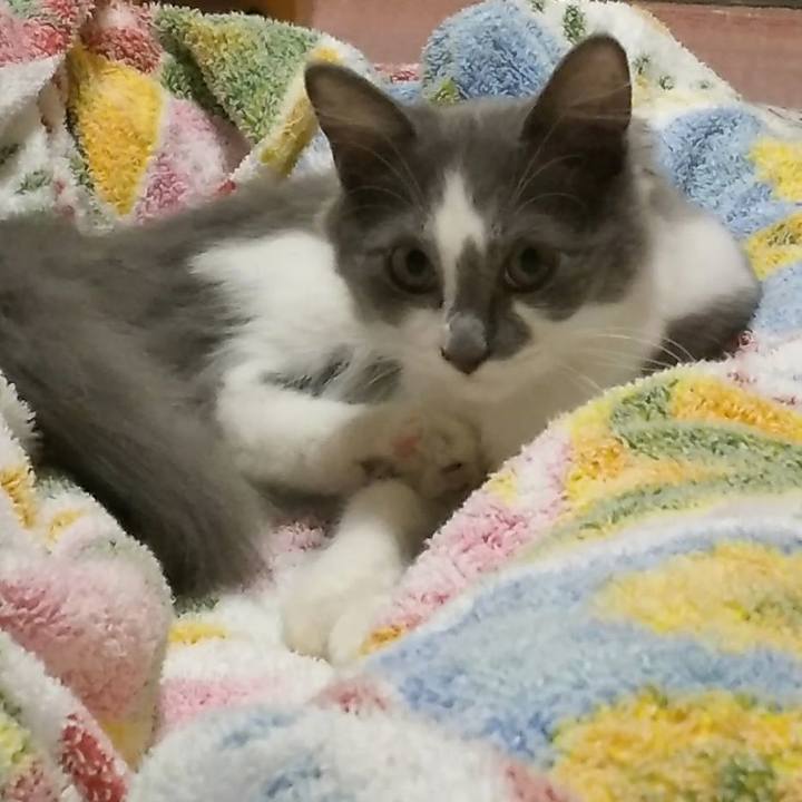 B01a8dec dfd2 4eb9 b893 ef879b285beb 1567291129979