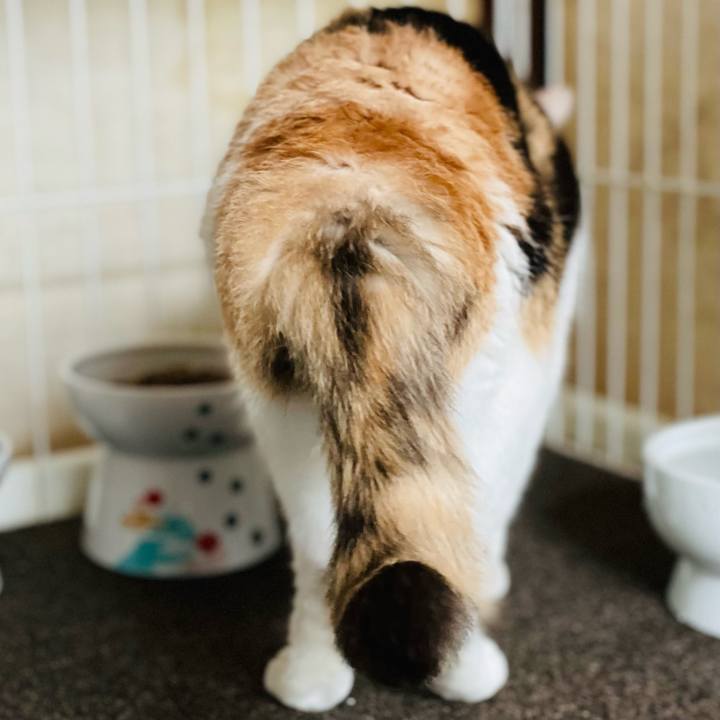 B01afa9d d57a 4920 833a dd5b8db1430b 1661734447903