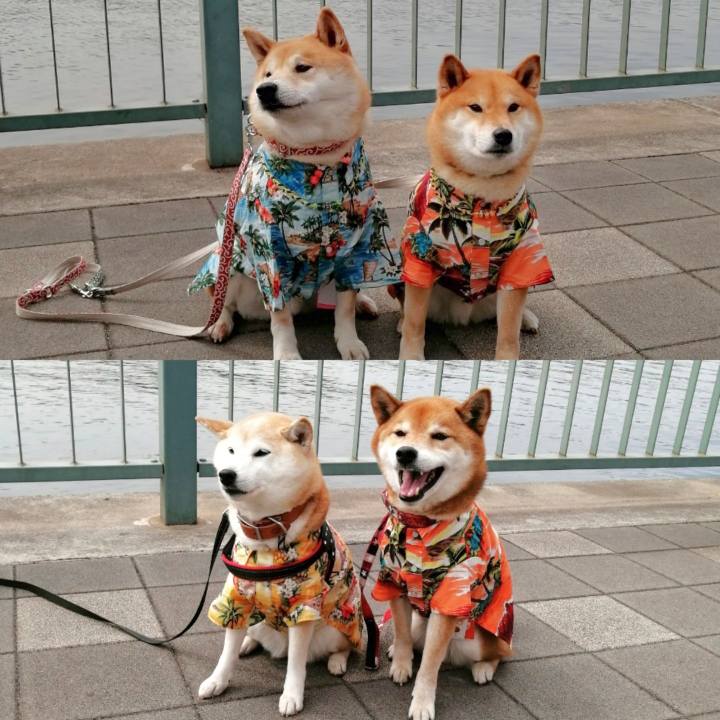 B01afad2 0a43 4dfa be49 a9ff41d2fb00 1647225108799