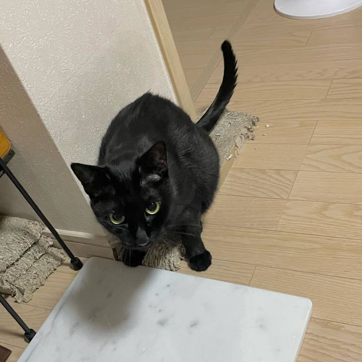 B01b1676 405f 4023 9918 8c25a001e3e3 1695653681611