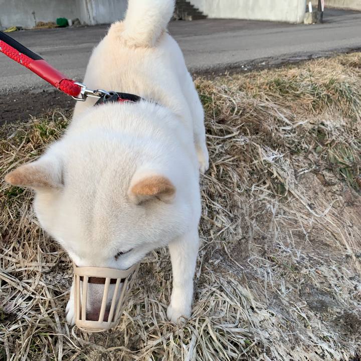 B01b2d87 27a5 49be bda2 3a5d3253abfa 1679784270189