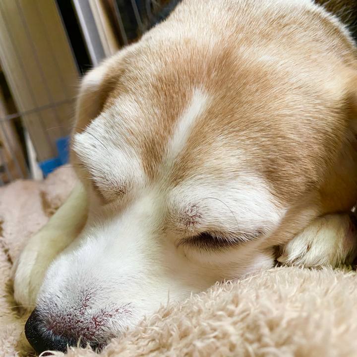 B01b4836 05e0 40c5 8caa 9c66c8ca0363 1617078017224