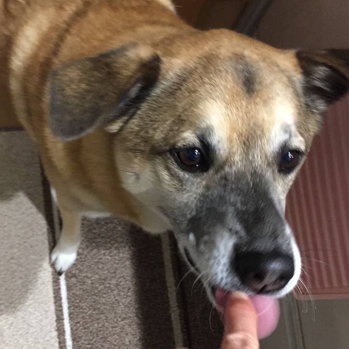 B01b7217 efde 4a0d 9d23 73f278c75808 1515582137409