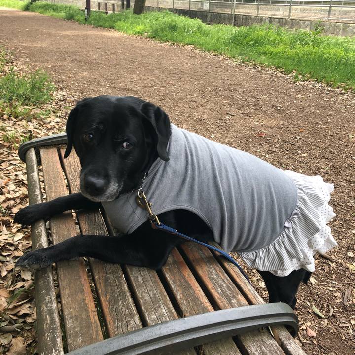 B01b763b 79fa 4f0c af5f 2196b4698778 1557362666156