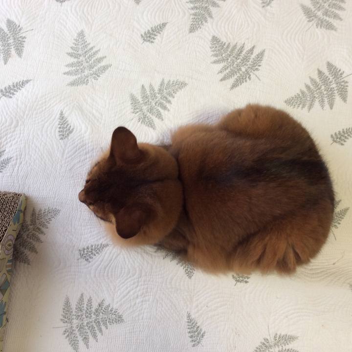 B01b981c c3e7 4204 8628 7b879bf3ac0b 1603357022154