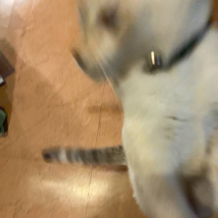 B01bc23b d061 4f8a 9867 99a7f059bd82 1636797688834