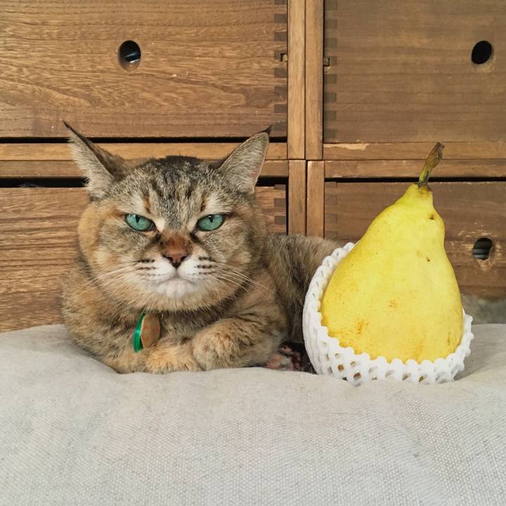 B01c0ff0 5d17 4523 81e3 03ef9e595d44 1508985743756