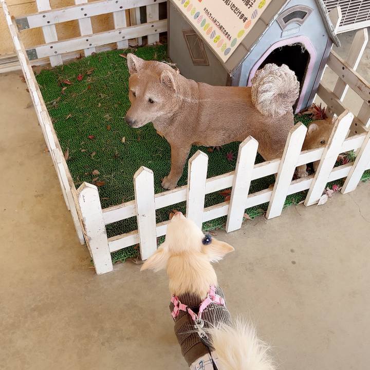 B01c15a6 b9ee 425d 90f2 e22fe88db323 1701589520854