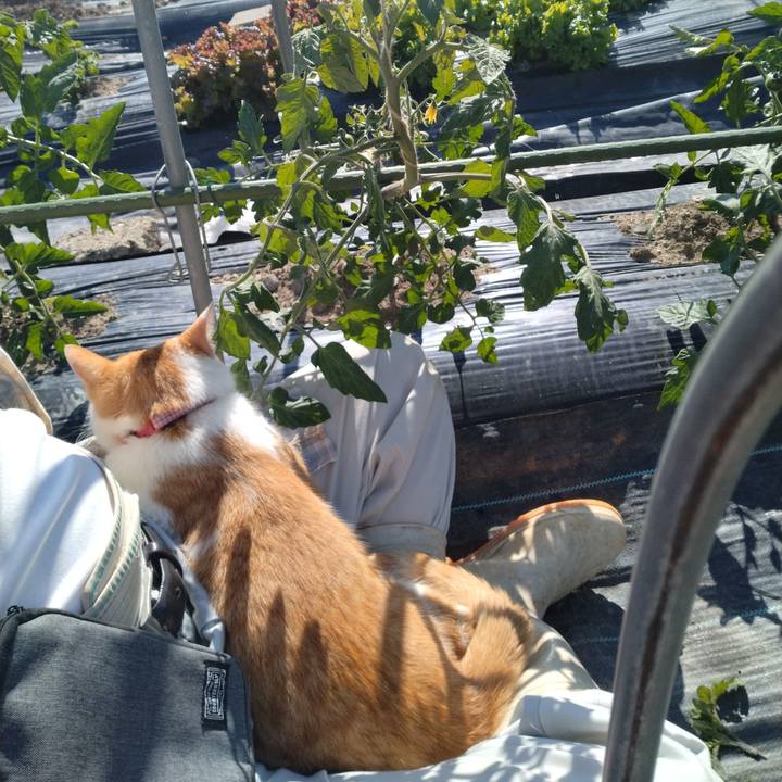 B01c2b6b addf 4af0 976b 82d9fc067ad6 1749111487930