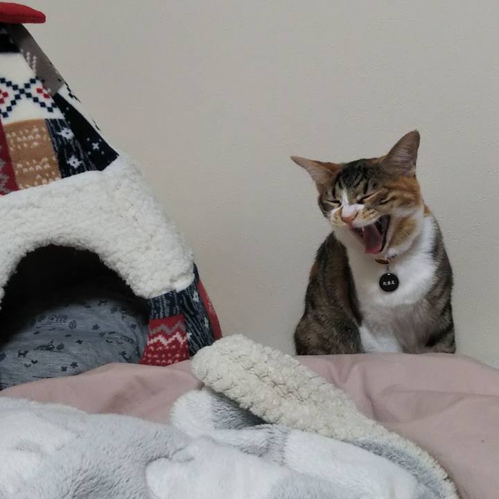 B01c3e44 e20c 4d05 bb3a 897d3298223a 1640472972298