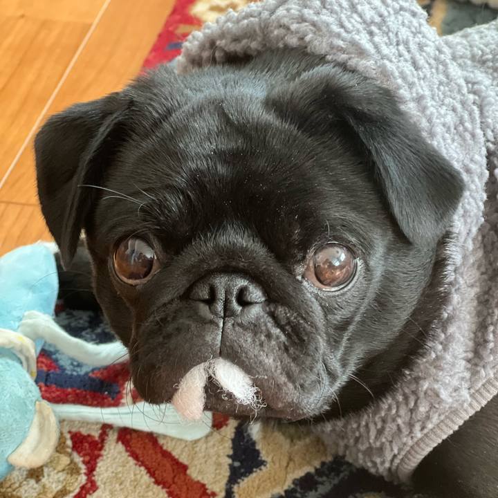 B01c8f12 5537 4ea8 8a9b 20f66cd2b296 1642818426097